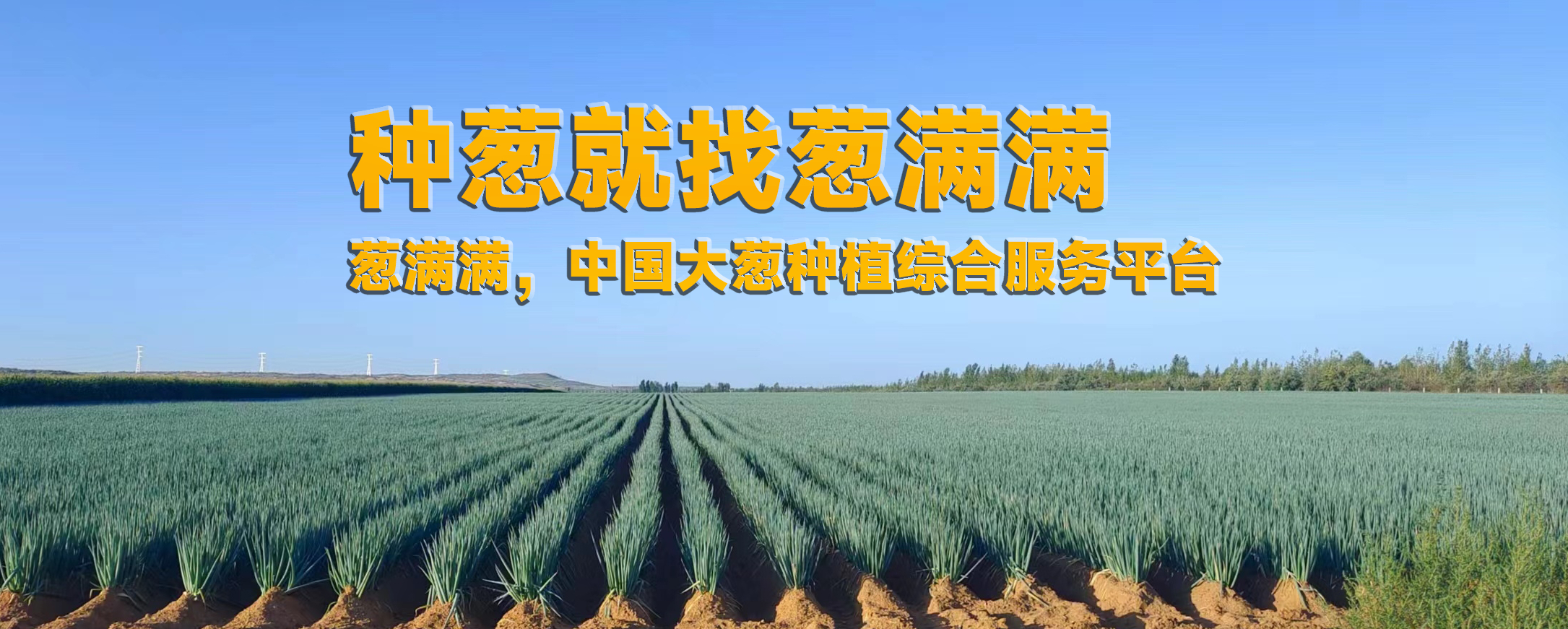 未標題-1